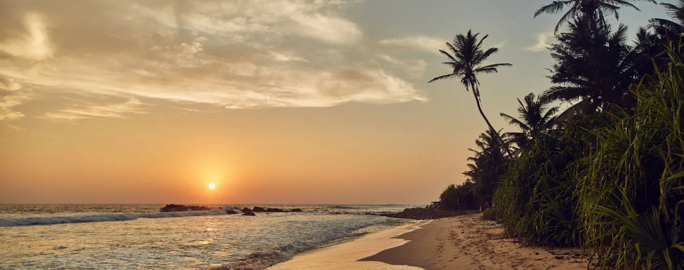 An Indian Ocean island beach